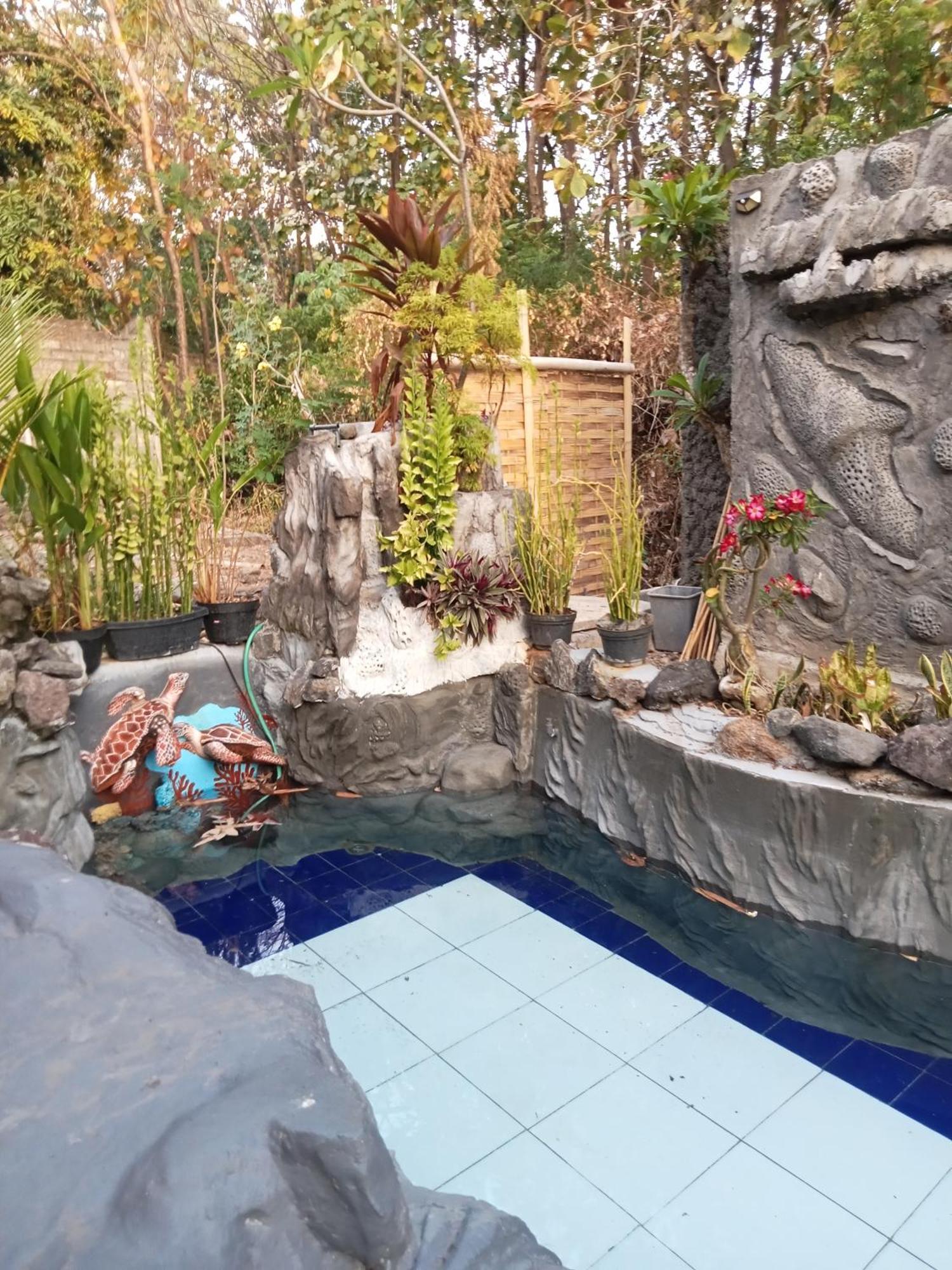 Atb Hostel Lovina  Ngoại thất bức ảnh