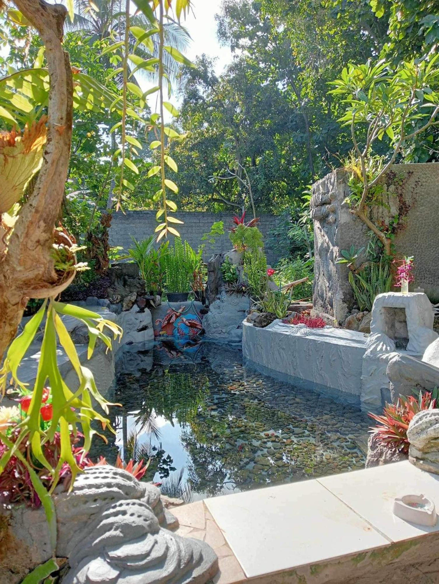 Atb Hostel Lovina  Ngoại thất bức ảnh